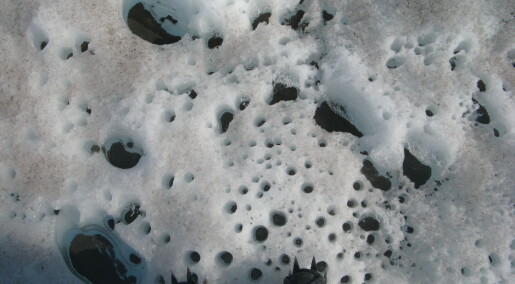 Industrial pollutants are changing the microbiota of the Greenland ice Industrial pollutants are changing the microbiota of the Greenland ice