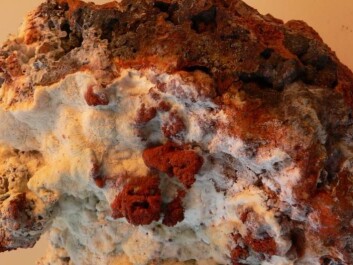 The new minerals were discovered in so-called fumaroles. A fumarole is an opening in the Earth, found near to volcanoes, from which gas and steam escapes. The photo shows a piece of lava covered with white fumarole minerals. (Photo: Tonci Balic-Zunic) The new minerals were discovered in so-called fumaroles. A fumarole is an opening in the Earth, found near to volcanoes, from which gas and steam escapes. The photo shows a piece of lava covered with white fumarole minerals. (Photo: Tonci Balic-Zunic)