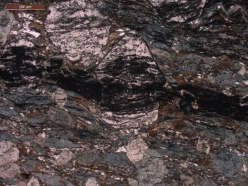 Scientists have found signs of life in 3.7-billion-year-old garnet rocks in Isua, Greenland. The image shows what the rock looks like under the microscope. Scientists carve a thin slice of rock, called a thin section. The dark stripe in the centre is carbon. Carbon was extracted from the middle of the garnet—one of the large light particles in the centre of the image. (Image: Minik Rosing) Scientists have found signs of life in 3.7-billion-year-old garnet rocks in Isua, Greenland. The image shows what the rock looks like under the microscope. Scientists carve a thin slice of rock, called a thin section. The dark stripe in the centre is carbon. Carbon was extracted from the middle of the garnet—one of the large light particles in the centre of the image. (Image: Minik Rosing)