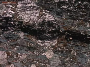 Scientists have found signs of life in 3.7-billion-year-old garnet rocks in Isua, Greenland. The image shows what the rock looks like under the microscope. Scientists carve a thin slice of rock, called a thin section. The dark stripe in the centre is carbon. Carbon was extracted from the middle of the garnet—one of the large light particles in the centre of the image. (Image: Minik Rosing)