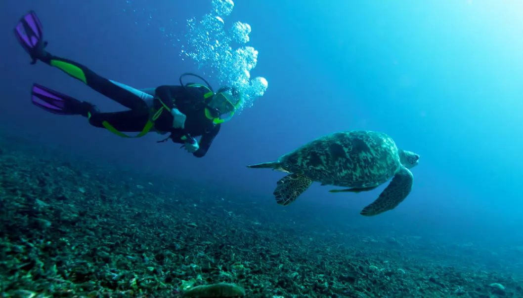 Humans are everywhere, even on the deepest of oceans, and that doesn’t give sea turtles much room to live in. (Photo: Colourbox)