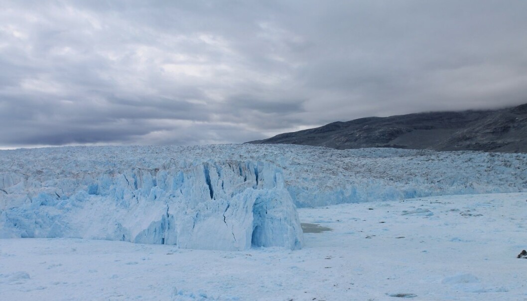 Glaciers like this one are vital for sustaining some of Greenland’s most productive halibut landings. (Photo: Lorenz Meire)
Glaciers like this one are vital for sustaining some of Greenland’s most productive halibut landings. (Photo: Lorenz Meire)