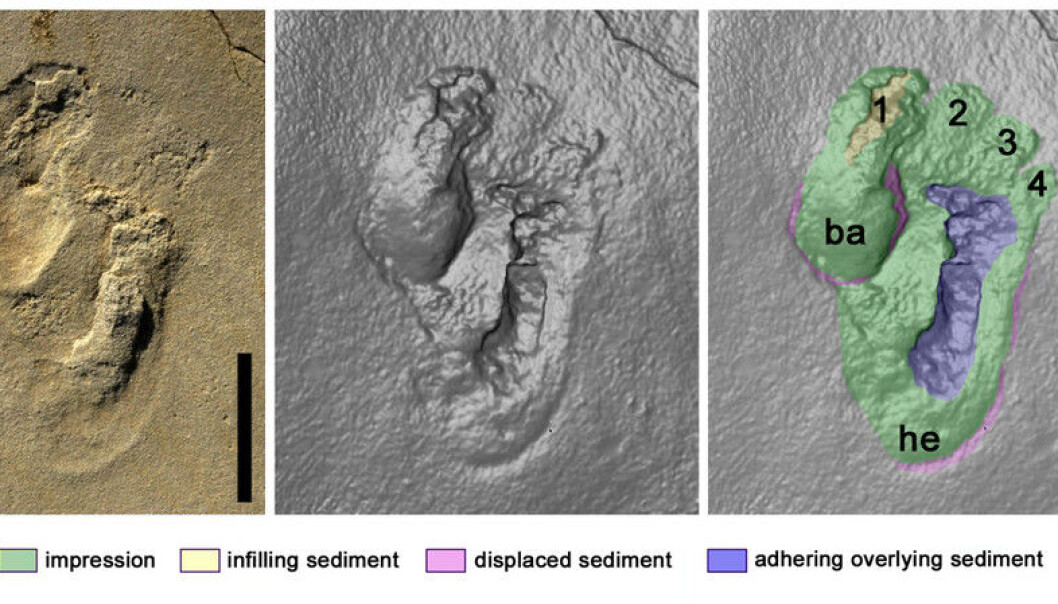 The “cradle of humanity” has long been thought to lie in Africa, with most researchers suggesting that Ethiopia was where the human lineage originated. But a discovery in Crete throws up interesting and controversial new evidence or early humans in southern Europe. (Photo: Author provided) The “cradle of humanity” has long been thought to lie in Africa, with most researchers suggesting that Ethiopia was where the human lineage originated. But a discovery in Crete throws up interesting and controversial new evidence or early humans in southern Europe. (Photo: Author provided)
