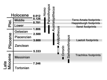 Oldest known footprints. (Photo: Author provided)
Oldest known footprints. (Photo: Author provided)