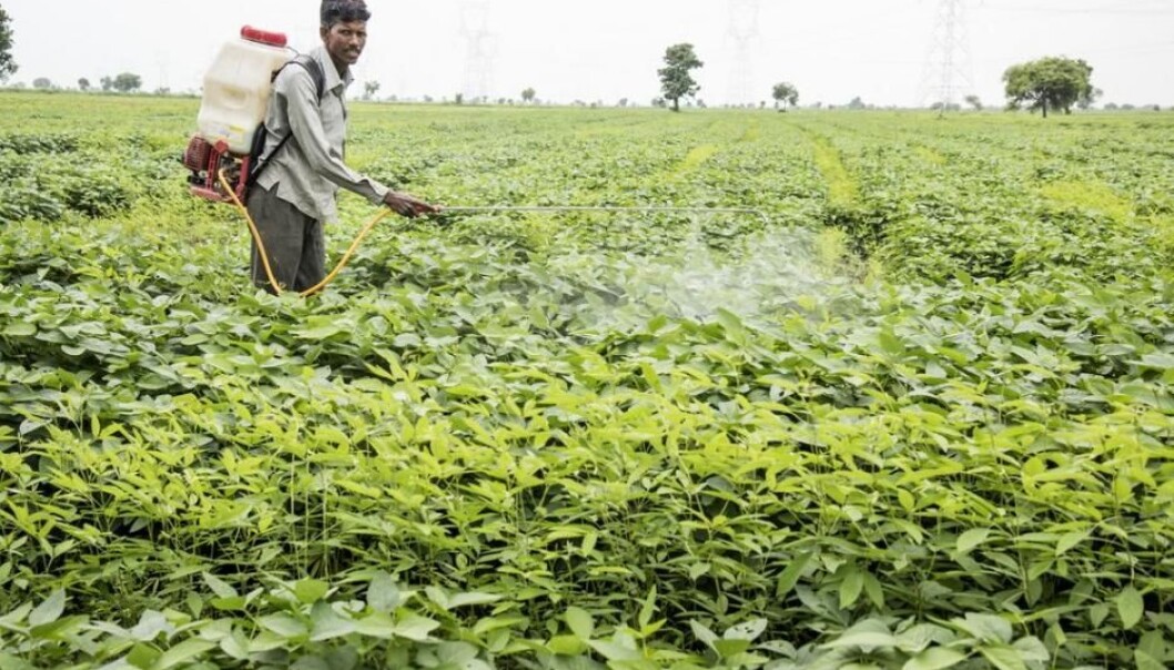 Many thousands of people commit suicide each year by consuming poisonous pesticides instead of spreading them on the fields. (Photo: Shutterstock) Many thousands of people commit suicide each year by consuming poisonous pesticides instead of spreading them on the fields. (Photo: Shutterstock)