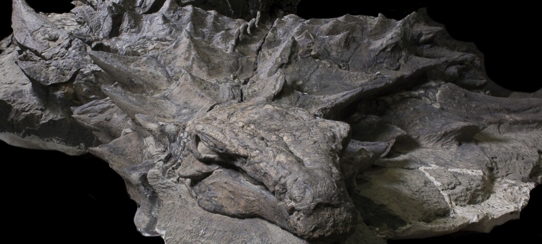Well-preserved dinosaur was witness to a scary past