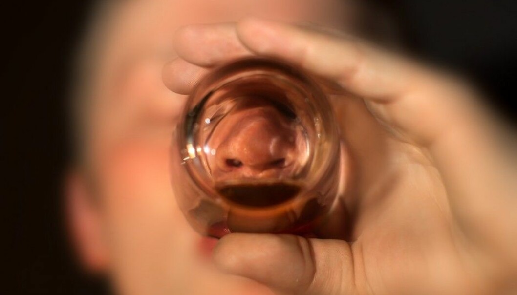 Scientists think they have found the brain mechanism that might explain why men and women appear to react differently to alcohol over time. (Photo: Shutterstock / NTB scanpix)