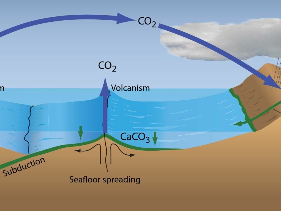 Over geological time-scales, the concentration of greenhouse gases in the atmosphere is driven by plate tectonic processes. Increased volcanism leads to increased emissions of CO2 while increased weathering during the formation of mountain ranges, removes CO2 from the atmosphere. (Illustration: Grethe Storgaard)