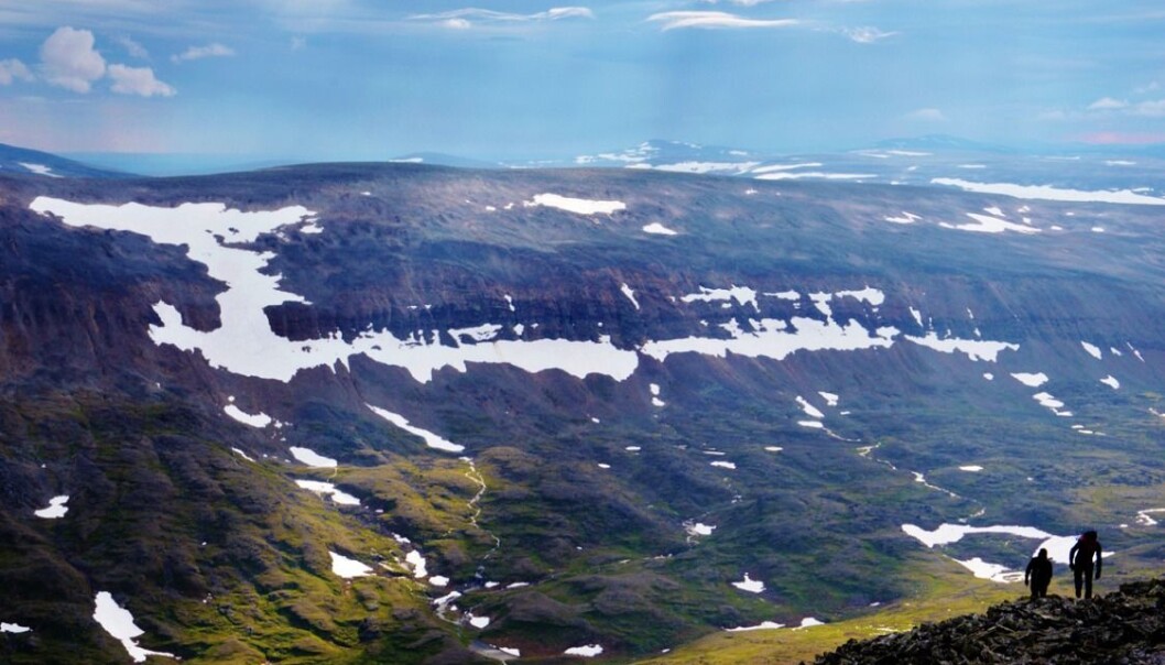 Many rare species can only be found in areas of late-lying snow packs. The disappearance of these unique environments would have severe consequences on cold-region biodiversity. (Photo: Elina Puhjo) Many rare species can only be found in areas of late-lying snow packs. The disappearance of these unique environments would have severe consequences on cold-region biodiversity. (Photo: Elina Puhjo)