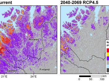 A rapid loss of cold conditions producing frost and snow related land surface processes are projected in northernmost Europe. The maps show the change in suitable conditions for these processes today (left) and in a future possible climate scenario (right). This scenario is projected for the time period of 2040-2069 and assumes a moderate emission scenario (so-called RCP4.5). (Illustration: Author provided) A rapid loss of cold conditions producing frost and snow related land surface processes are projected in northernmost Europe. The maps show the change in suitable conditions for these processes today (left) and in a future possible climate scenario (right). This scenario is projected for the time period of 2040-2069 and assumes a moderate emission scenario (so-called RCP4.5). (Illustration: Author provided)