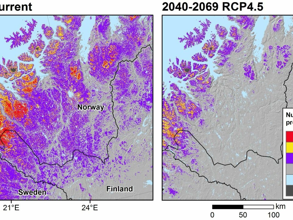 A rapid loss of cold conditions producing frost and snow related land surface processes are projected in northernmost Europe. The maps show the change in suitable conditions for these processes today (left) and in a future possible climate scenario (right). This scenario is projected for the time period of 2040-2069 and assumes a moderate emission scenario (so-called RCP4.5). (Illustration: Author provided)