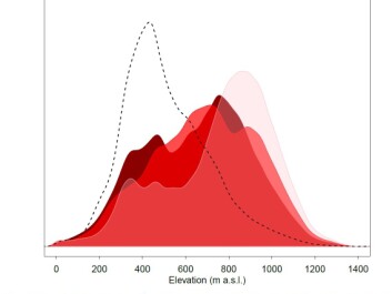 Frost and snow related land surface processes are shifting to higher elevations due to climate change. The dashed black line shows the current extent of the four studied processes in respect to elevation (m a.s.l. = meters above sea level), and the red shades depict the predicted change in distributions for three different climate change scenarios by 2070-2099. RCP2.6: drastic emissions cuts, RCP4.5: moderate emissions cuts, RCP8.5: business as usual with no cuts in emissions. (Graph: Author provided) Frost and snow related land surface processes are shifting to higher elevations due to climate change. The dashed black line shows the current extent of the four studied processes in respect to elevation (m a.s.l. = meters above sea level), and the red shades depict the predicted change in distributions for three different climate change scenarios by 2070-2099. RCP2.6: drastic emissions cuts, RCP4.5: moderate emissions cuts, RCP8.5: business as usual with no cuts in emissions. (Graph: Author provided)