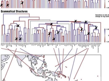 Lexical and grammatical rates of change in Austronesian. (From: Simon J. Greenhill, doi: 10.1073/pnas.1700388114, Author provided) Lexical and grammatical rates of change in Austronesian. (From: Simon J. Greenhill, doi: 10.1073/pnas.1700388114, Author provided)