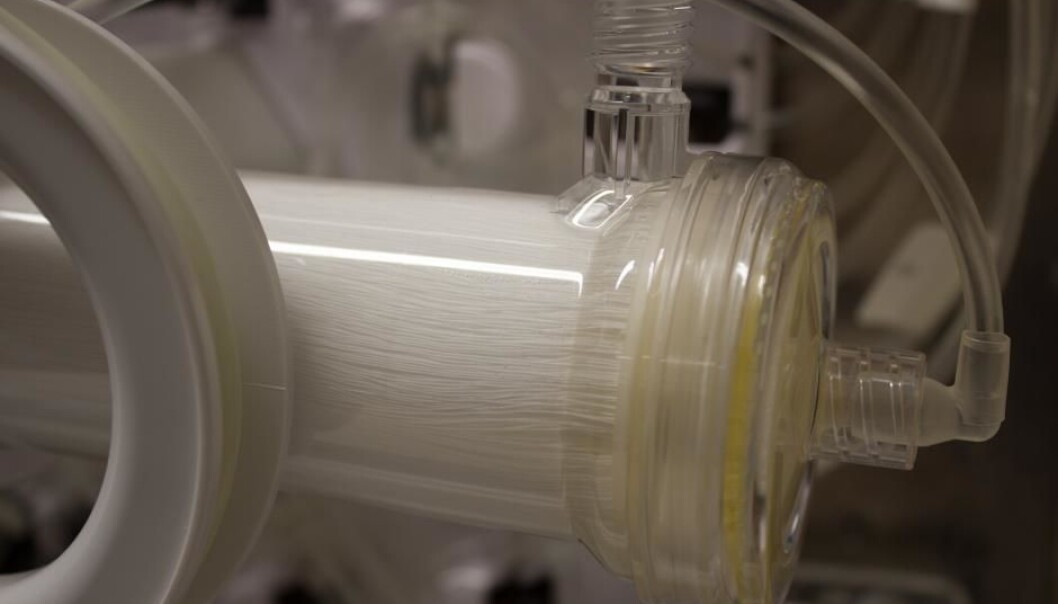 The plastic tube in this photo contains 11,000 small straws. Researchers at Rigshospitalet harvest stem cells from people’s abdominal fat and put them into the straws, where they grow, divide, and multiply. (Photo: Lise Brix, Videnskab.dk/Sciencenordic.com) The plastic tube in this photo contains 11,000 small straws. Researchers at Rigshospitalet harvest stem cells from people’s abdominal fat and put them into the straws, where they grow, divide, and multiply. (Photo: Lise Brix, Videnskab.dk/Sciencenordic.com)