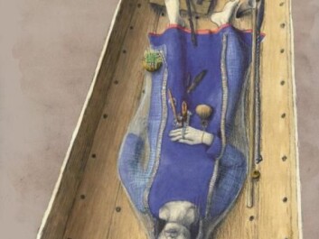 A reconstruction of Fyrkat Woman’s grave. Archaeologists think that she was a shaman due to the exotic items she was buried with. The metal staff may have been a kind of wand, and the seeds were from a toxic plant, stinking nightshade. Both of these are associated with shaman in written sources. (Illustration: Thomas Hjejle Bredsdorff)
A reconstruction of Fyrkat Woman’s grave. Archaeologists think that she was a shaman due to the exotic items she was buried with. The metal staff may have been a kind of wand, and the seeds were from a toxic plant, stinking nightshade. Both of these are associated with shaman in written sources. (Illustration: Thomas Hjejle Bredsdorff)