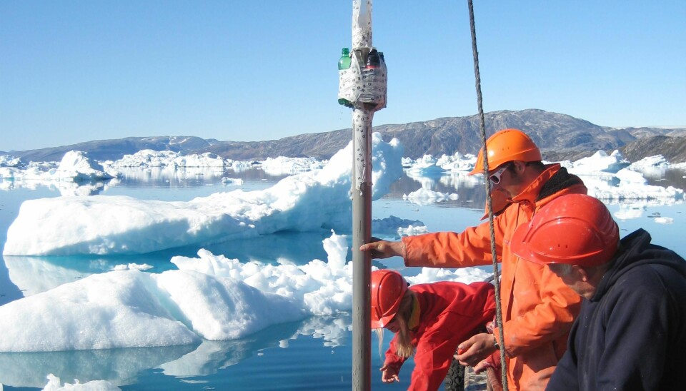 Scientists do not always need to study ice cores to reveal the history of the ice sheet. Melting ice bergs also leave sediment traces in the fjords around Greenland, which reveal how stable marine terminating glaciers have been in the past. (Photo: Robert Fausto, GEUS)