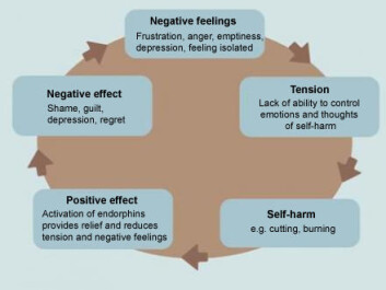 The vicious circle of self-harm. The vicious circle of self-harm.