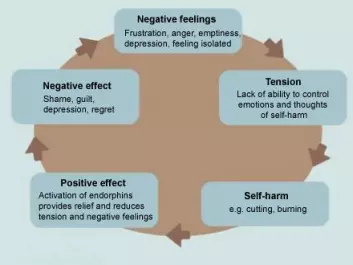 The vicious circle of self-harm.