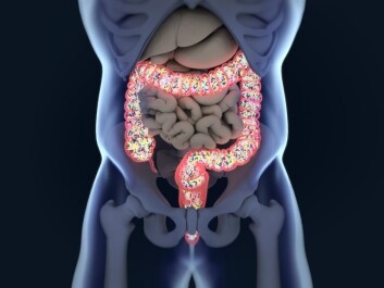 The study of astronaut bacteria show how the gut bacteria of mice changes once exposed to radiation, just like a regular human astronaut, cancer patients, or flight crew. One possible solution could be to take capsules of your own bacteria sampled before exposure to radiation. (Photo: Shutterstock) The study of astronaut bacteria show how the gut bacteria of mice changes once exposed to radiation, just like a regular human astronaut, cancer patients, or flight crew. One possible solution could be to take capsules of your own bacteria sampled before exposure to radiation. (Photo: Shutterstock)