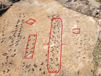 The plots of the main houses at Jelling village. The arrows indicate two entrances. A farmstead consisted of a large farm house and smaller economy buildings. The entire farmstead was surrounded by a fence. (Photo: Esben Klinker Hansen, VejleMuseerne) The plots of the main houses at Jelling village. The arrows indicate two entrances. A farmstead consisted of a large farm house and smaller economy buildings. The entire farmstead was surrounded by a fence. (Photo: Esben Klinker Hansen, VejleMuseerne)