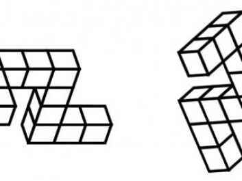 An example of the type of spatial task where the largest gender difference in cognition has been documented (mental rotation). The test subject must determine if the figures are identical or mirrored. (Figure: Christian Gerlach) An example of the type of spatial task where the largest gender difference in cognition has been documented (mental rotation). The test subject must determine if the figures are identical or mirrored. (Figure: Christian Gerlach)