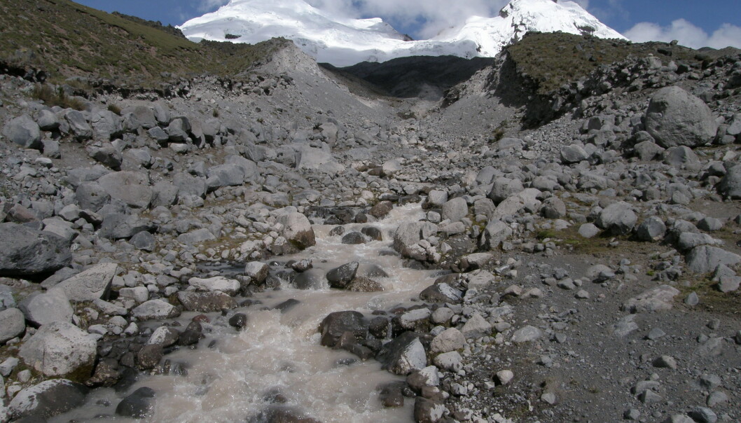 Mt Antisana volcano in the Ecuadorian Andes. Scientists have been monitoring the glacier-fed stream for a number of years. (Photo: Dean Jacobsen) Mt Antisana volcano in the Ecuadorian Andes. Scientists have been monitoring the glacier-fed stream for a number of years. (Photo: Dean Jacobsen)