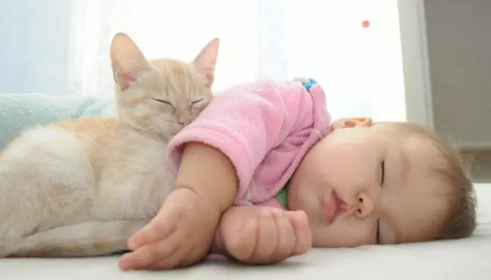 Cats protect newborns against asthma