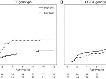 Development of asthma in the group carrying gene variant TT (left) compared with other children. The solid line indicates children with high levels of cat allergens at home. (Graph: COPSAC / Journal of Allergy and Clinical Immunology). Development of asthma in the group carrying gene variant TT (left) compared with other children. The solid line indicates children with high levels of cat allergens at home. (Graph: COPSAC / Journal of Allergy and Clinical Immunology).