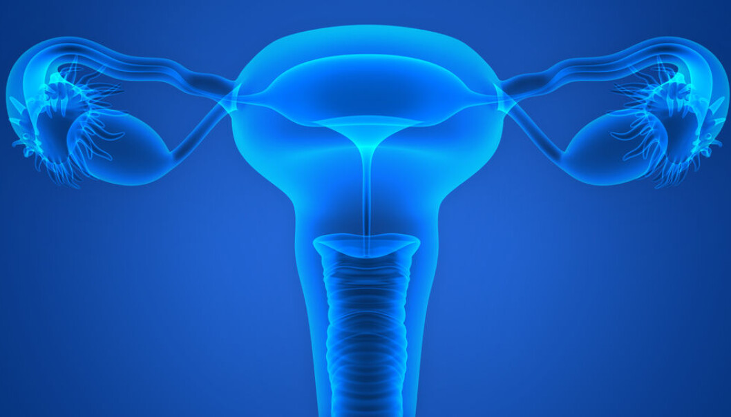 New research suggests bacteria are thriving inside the ovaries and fallopian tubes. (Photo: Shutterstock) New research suggests bacteria are thriving inside the ovaries and fallopian tubes. (Photo: Shutterstock)