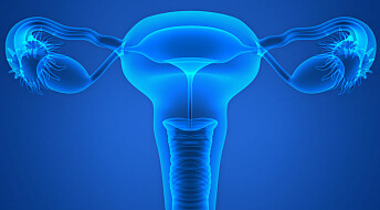 Scientists surprised to find bacteria inside fallopian tubes and around ovaries