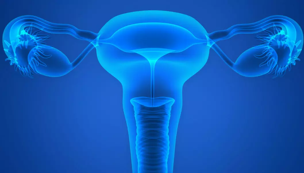 New research suggests bacteria are thriving inside the ovaries and fallopian tubes. (Photo: Shutterstock)
