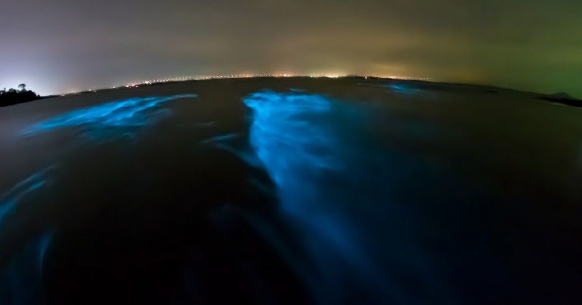 Phosphorescence aims to frighten