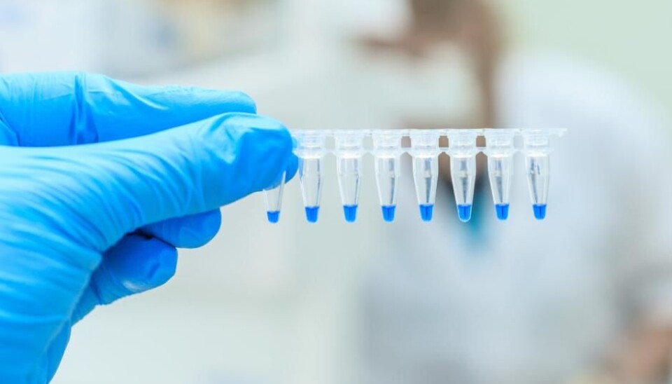 Genome editing technology has developed at such speed that it has become difficult to keep up with the ethical and social implications. (Photo: Shutterstock)