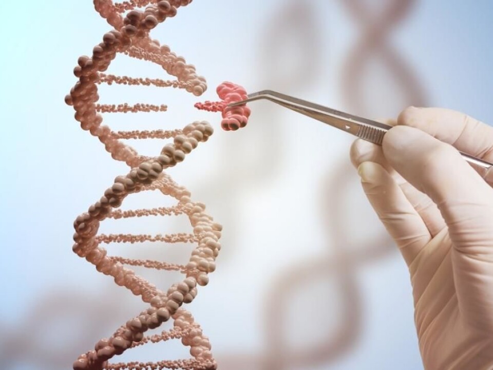 CRISPR/Cas9 technology allows scientists to remove, insert, or change the DNA sequences virtually anywhere in the genome. (Photo: Shutterstock)