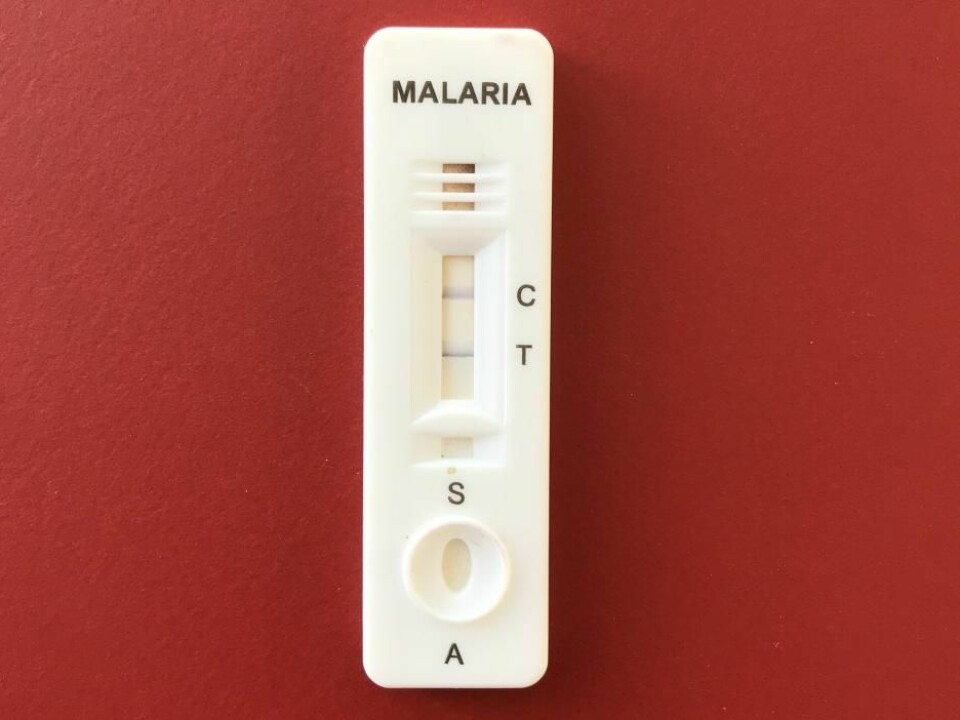 A line appears if the test is positive for drug-resistant malaria. (Photo: Sidsel Nag).