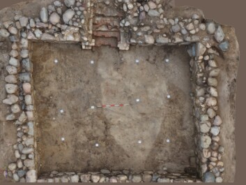 The large cellar was 50 square metres in size. Part of it was probably used to store the collected taxes while the other side was used to store farming equipment. (Photo: Kirsi Pedersen) The large cellar was 50 square metres in size. Part of it was probably used to store the collected taxes while the other side was used to store farming equipment. (Photo: Kirsi Pedersen)