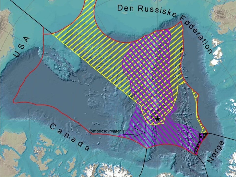 Map covering the Arctic Ocean. Purple lines mark the area claimed by the Kingdom of Denmark. Yellow stripes indicate Russia’s claim. The Kingdom of Denmark’s claim also overlaps with the extended continental shelf of Norway, indicated by black lines. The black star marks the North Pole. (Illustration: GEUS)