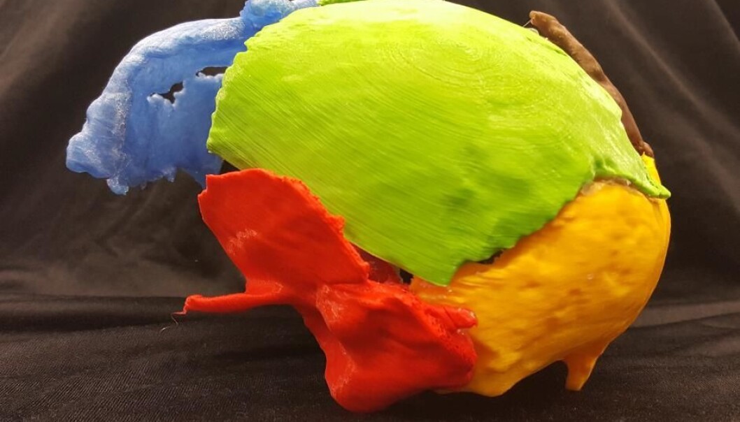 Gorm the Old’s bones are printed in a range of colours (Photo: Marie Louise Jørkov) Gorm the Old’s bones are printed in a range of colours (Photo: Marie Louise Jørkov)