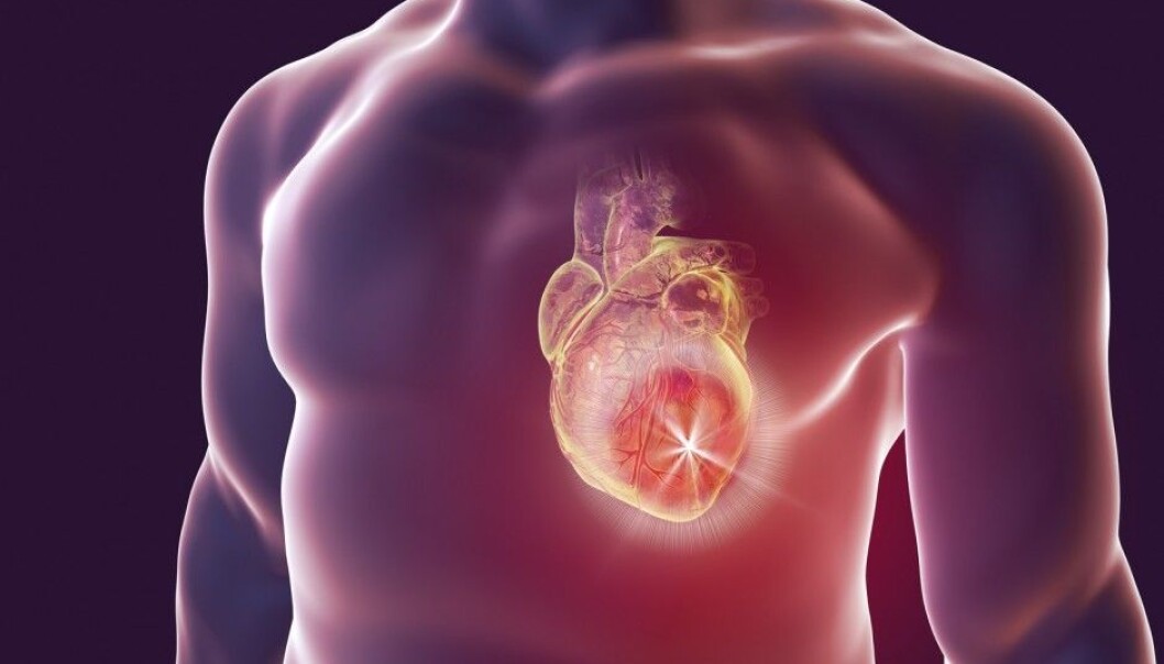 The researchers find a good “contact” with inner body functions seems to have an effect on our choices. (Photo: Kateryna Kon / Shutterstock / NTB scanpix) The researchers find a good “contact” with inner body functions seems to have an effect on our choices. (Photo: Kateryna Kon / Shutterstock / NTB scanpix)