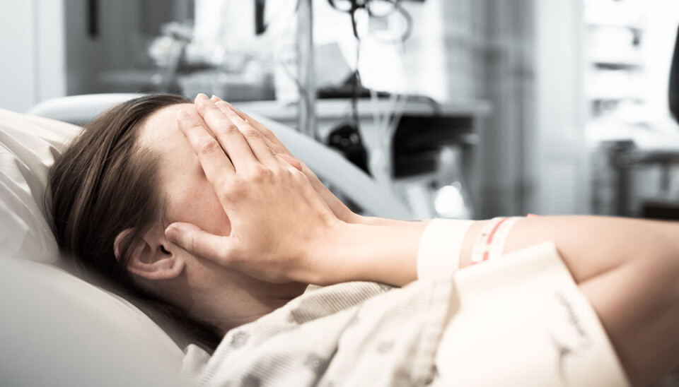 Elderly people with multiple chronic diseases are especially at risk of experiencing health inequalities. In Denmark, more than half of the elderly suffer from two or more diseases. (Photo: Shutterstock)