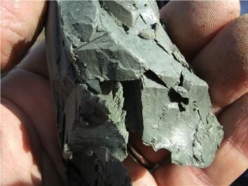 High plasticity clay looks like modelling clay and is very challenging to build on. (Photo: Geolex.dk) High plasticity clay looks like modelling clay and is very challenging to build on. (Photo: Geolex.dk)
