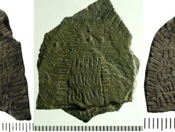 Examples of field stones. The middle stone was found in 2014, and was the first known sun stone. The stone is interpreted as depicting an enclosed field. (Photo: Bornholms Museum) Examples of field stones. The middle stone was found in 2014, and was the first known sun stone. The stone is interpreted as depicting an enclosed field. (Photo: Bornholms Museum)