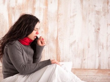 The innate immune system normally fights bacteria, but if the bacteria are allowed to spread to the blood (for example, in blood poisoning) it can do us more harm than good. (Photo: Shutterstock) The innate immune system normally fights bacteria, but if the bacteria are allowed to spread to the blood (for example, in blood poisoning) it can do us more harm than good. (Photo: Shutterstock)