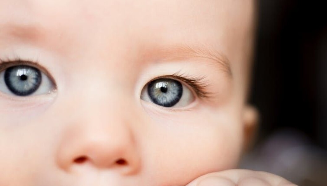 Gene therapy trials are currently underway for at least 15 different disease-causing genes responsible for different forms of retinal degeneration. (Photo: riggleton/Shutterstock) Gene therapy trials are currently underway for at least 15 different disease-causing genes responsible for different forms of retinal degeneration. (Photo: riggleton/Shutterstock)