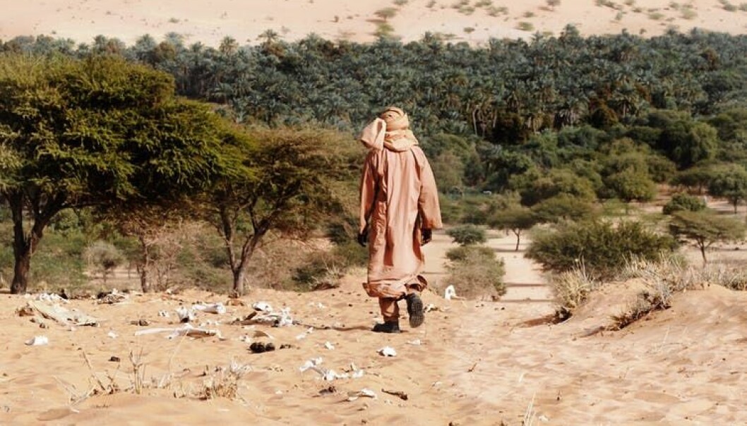 By the end of the 1990s, the idea of encroaching deserts had become difficult to defend. (Photo: IFRC/Flickr)
By the end of the 1990s, the idea of encroaching deserts had become difficult to defend. (Photo: IFRC/Flickr)