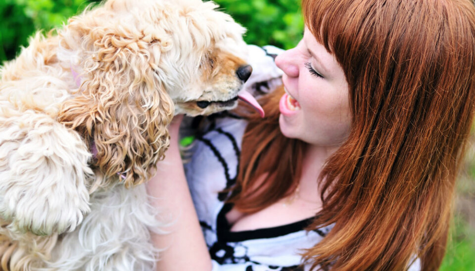 Swedes spent SEK 4.5 billion on food, equipment, veterinary expenses and other services for their pets in 2001. In 2007, they spent SEK 8 billion. In 2015 that number had doubled to SEK 16 billion. (Illustrative photo: Colourbox)