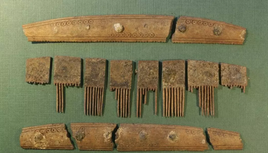 The comb was discovered in Ribe, West Denmark. (Photo: Søren Sindbæk)