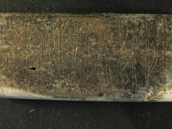 Even after the comb was carefully removed from the soil, it is tricky to distinguish the markings. The bone plate was burnt and had degraded after more than 1,000 years in the ground. It measures just 3.8 by 1.8 centimetres. (Photo: Søren Sindbæk) Even after the comb was carefully removed from the soil, it is tricky to distinguish the markings. The bone plate was burnt and had degraded after more than 1,000 years in the ground. It measures just 3.8 by 1.8 centimetres. (Photo: Søren Sindbæk)