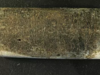 Even after the comb was carefully removed from the soil, it is tricky to distinguish the markings. The bone plate was burnt and had degraded after more than 1,000 years in the ground. It measures just 3.8 by 1.8 centimetres. (Photo: Søren Sindbæk)