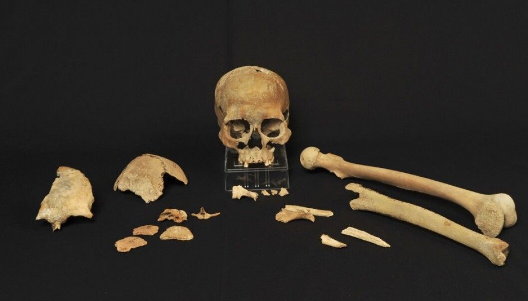 In 1994, Stone Age bones were found on the island of Hummervikholmen in the Søgne archipelago in southernmost Norway. New methods are finally available to analyse their DNA. (Photo: Beate Kjørslevik) In 1994, Stone Age bones were found on the island of Hummervikholmen in the Søgne archipelago in southernmost Norway. New methods are finally available to analyse their DNA. (Photo: Beate Kjørslevik)